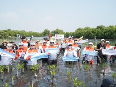 Kolaborasi Nyata Lindungi Laut Indonesia, PIS Ajak Masyarakat Tanam 20 Ribu Mangrove