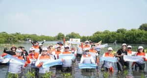 Kolaborasi Nyata Lindungi Laut Indonesia, PIS Ajak Masyarakat Tanam 20 Ribu Mangrove