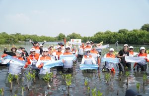 Kolaborasi Nyata Lindungi Laut Indonesia, PIS Ajak Masyarakat Tanam 20 Ribu Mangrove