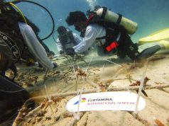 PIS Tanam 1000 Terumbu Karang di Titik Terujung Barat Indonesia