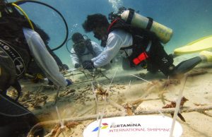 PIS Tanam 1000 Terumbu Karang di Titik Terujung Barat Indonesia