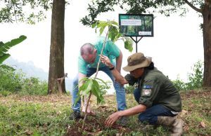 Braun Indonesia Tanam 500 Pohon Untuk Lestarikan Ekosistem Sanggabuana