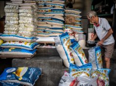 Reformasi Tata Niaga Beras: Negara Harus Hadir Melindungi Petani dan Konsumen