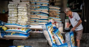 Reformasi Tata Niaga Beras: Negara Harus Hadir Melindungi Petani dan Konsumen