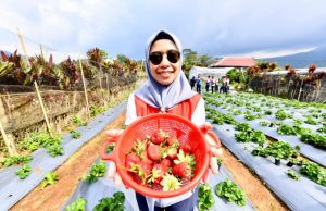 Pertamina Berdayakan Desa Rantau Dedap: Dari Energi Bersih hingga Wisata Edukasi