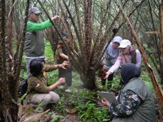 Kementan Dorong Pendaftaran 12 Varietas Lokal Salak di Kabupaten Karangasem Bali