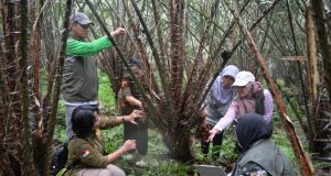 Kementan Dorong Pendaftaran 12 Varietas Lokal Salak di Kabupaten Karangasem Bali