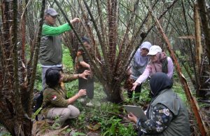 Kementan Dorong Pendaftaran 12 Varietas Lokal Salak di Kabupaten Karangasem Bali