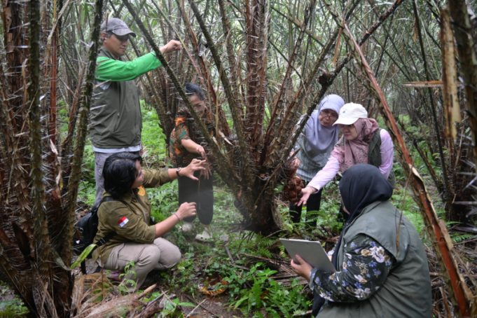 Kementan Dorong Pendaftaran 12 Varietas Lokal Salak di Kabupaten Karangasem Bali
