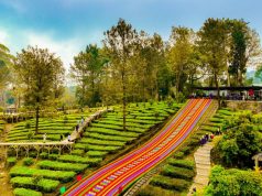 Agrowisata Gunung Mas Bersiap Jadi Destinasi Berkelas Dunia