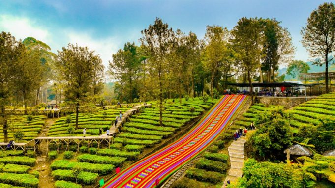 Agrowisata Gunung Mas Bersiap Jadi Destinasi Berkelas Dunia
