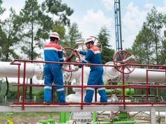 Pertamina NRE Dorong Ketahanan Energi