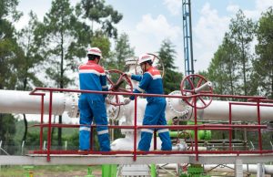 Pertamina NRE Dorong Ketahanan Energi