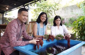 Kolaborasi BNP Paribas Asset Management, UOB Indonesia, dan Kopernik Dukung Petani Rumput Laut di Bali