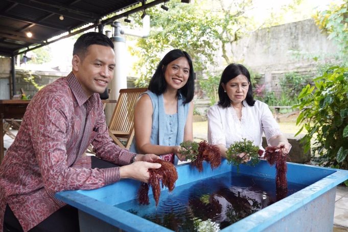 Kolaborasi BNP Paribas Asset Management, UOB Indonesia, dan Kopernik Dukung Petani Rumput Laut di Bali