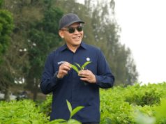 PTPN IV Regional II Beri Penjelasan Soal Isu Konversi Kebun Teh di Kabupaten Simalungun, Provinsi Sumatera Utara