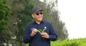 PTPN IV Regional II Beri Penjelasan Soal Isu Konversi Kebun Teh di Kabupaten Simalungun, Provinsi Sumatera Utara