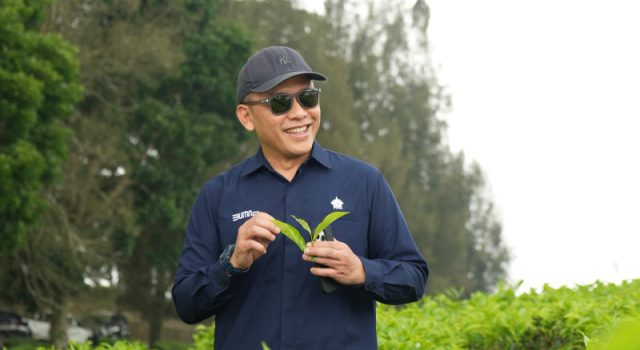 PTPN IV Regional II Beri Penjelasan Soal Isu Konversi Kebun Teh di Kabupaten Simalungun, Provinsi Sumatera Utara