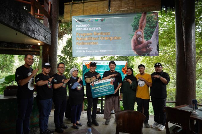 PTPN IV PalmCo Dukung Rehabilitasi Orangutan, Wujudkan Sawit yang Bersahabat dengan Alam Samboja