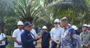 Dubes Uni Eropa Apresiasi Keselarasan PTPN IV PalmCo dengan Tiga Pilar Utama Industri Sawit Berkelanjutan