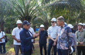 Dubes Uni Eropa Apresiasi Keselarasan PTPN IV PalmCo dengan Tiga Pilar Utama Industri Sawit Berkelanjutan
