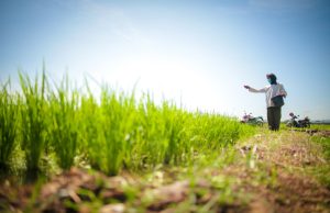 CN2S Anggap Serangan Tempo ke Sektor Pertanian Lampaui Ketidakpantasan Jurnalistik