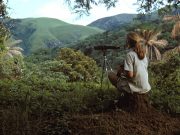 AWS dan JGI Kolaborasi Ubah Riset Primata ke Digital