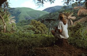 AWS dan JGI Kolaborasi Ubah Riset Primata ke Digital