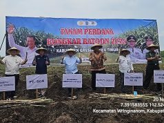 Kementan Genjot Swasembada Gula Lewat Tanam Perdana Tebu Bongkar Ratoon di Gresik