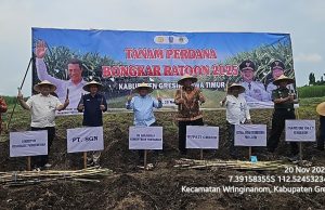 Kementan Genjot Swasembada Gula Lewat Tanam Perdana Tebu Bongkar Ratoon di Gresik