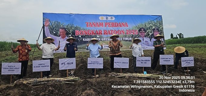 Kementan Genjot Swasembada Gula Lewat Tanam Perdana Tebu Bongkar Ratoon di Gresik