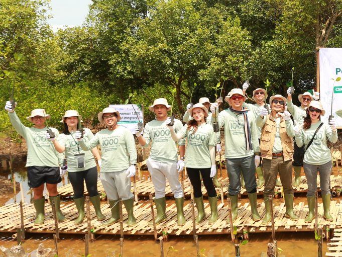 Abrasi Ancam Pesisir Tangerang, BRI Danareksa Sekuritas Tanam 1000 Pohon Mangrove