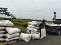 Dewan Pers Prof.Komarudin Menilai Ada Pelanggaran Kode Etik Dalam Pemberitaan Tentang Kementerian Pertanian