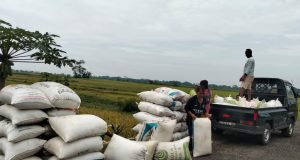 Dewan Pers Prof.Komarudin Menilai Ada Pelanggaran Kode Etik Dalam Pemberitaan Tentang Kementerian Pertanian