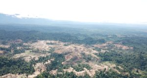 Perusahaan Dunia Gagal Menghentikan Kerusakan Hutan dan Pelanggaran HAM