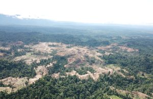 Perusahaan Dunia Gagal Menghentikan Kerusakan Hutan dan Pelanggaran HAM