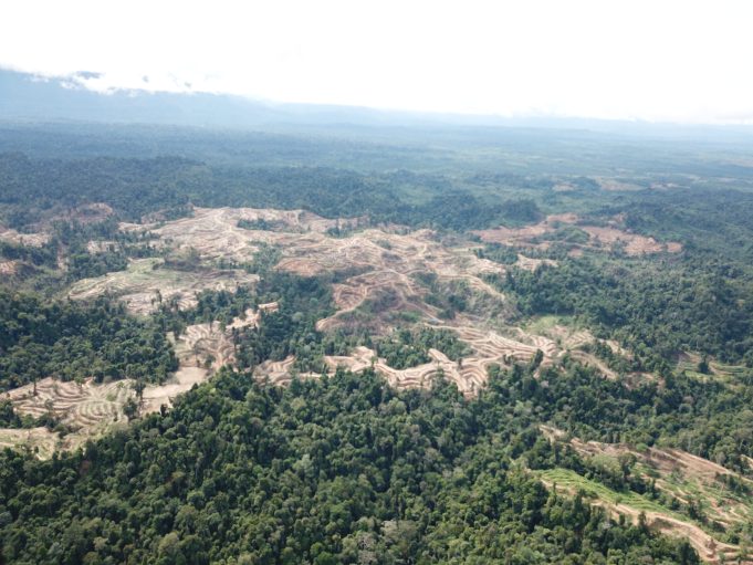 Perusahaan Dunia Gagal Menghentikan Kerusakan Hutan dan Pelanggaran HAM