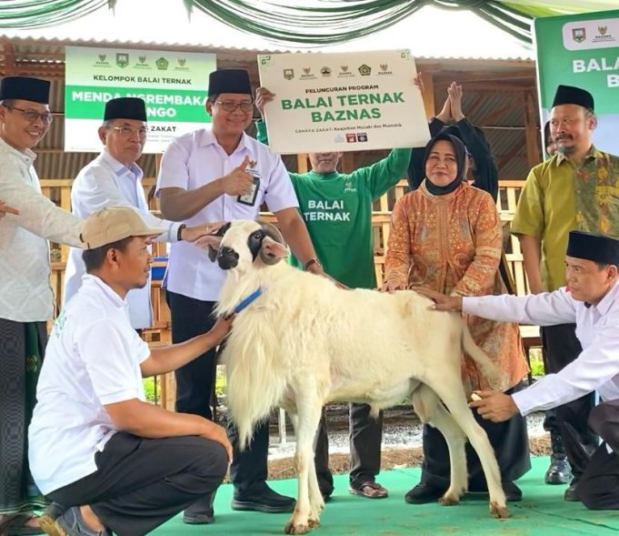 Berdayakan Ekonomi Mustahik, BAZNAS RI Luncurkan Balai Ternak di Semarang