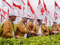 Menatap Abad Kedua Teh Kayu Aro Rebranding, Mutu, dan Warisan Sejarah Dalam Satu Tarikan Napas