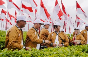Menatap Abad Kedua Teh Kayu Aro Rebranding, Mutu, dan Warisan Sejarah Dalam Satu Tarikan Napas