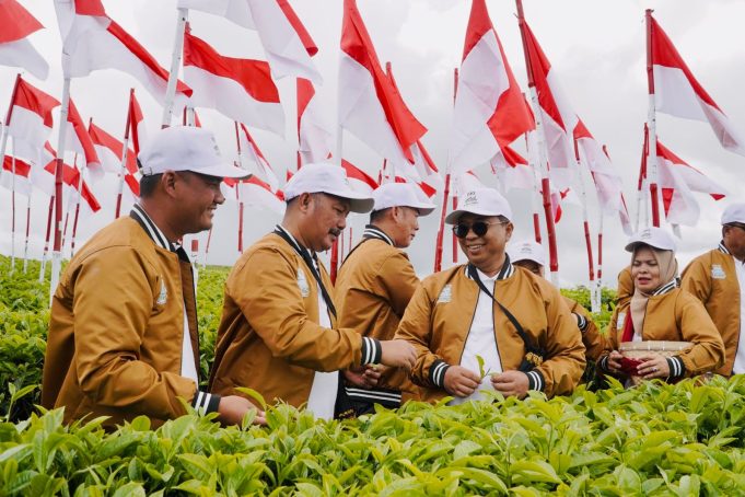 Menatap Abad Kedua Teh Kayu Aro Rebranding, Mutu, dan Warisan Sejarah Dalam Satu Tarikan Napas