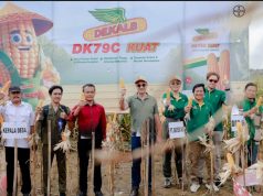 Bayer Dukung Petani Tingkatkan Hasil Panen Jagung di Jawa Tengah, Perkuat Ketahanan Pangan Indonesia