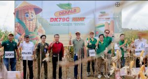Bayer Dukung Petani Tingkatkan Hasil Panen Jagung di Jawa Tengah, Perkuat Ketahanan Pangan Indonesia