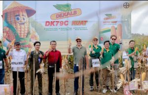 Bayer Dukung Petani Tingkatkan Hasil Panen Jagung di Jawa Tengah, Perkuat Ketahanan Pangan Indonesia