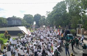 Holding Perkebunan Nusantara Kawal Penyelesaian Konflik Ijen demi Aset Negara dan Keselamatan Pekerja