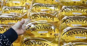 PalmCo Genjot Produksi CPO dan Minyak Goreng Jelang Ramadhan