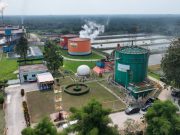 ROA PalmCo Tembus 7,9 Persen, Sinyal Penguatan Kinerja Aset BUMN Perkebunan