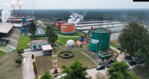 ROA PalmCo Tembus 7,9 Persen, Sinyal Penguatan Kinerja Aset BUMN Perkebunan