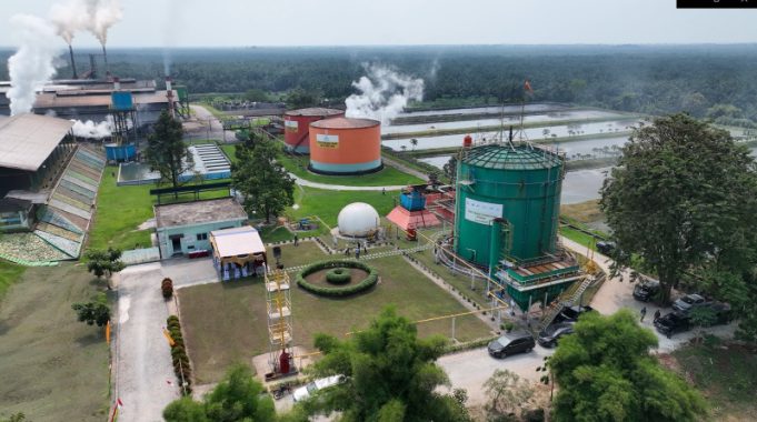 ROA PalmCo Tembus 7,9 Persen, Sinyal Penguatan Kinerja Aset BUMN Perkebunan