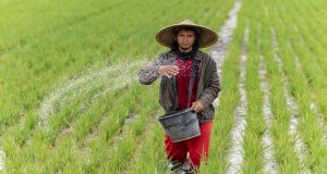 Britis International Investment Siapkan £1,1 Miliar untuk Percepat Transisi Energi di Asia